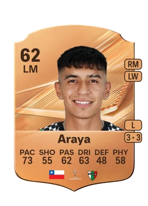 Araya 62 LM
