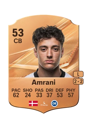 Amrani 53 CB