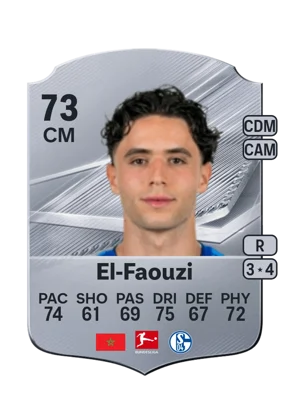 El-Faouzi 73 CM