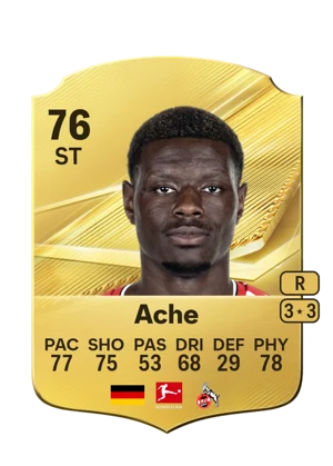 Ache 76 ST