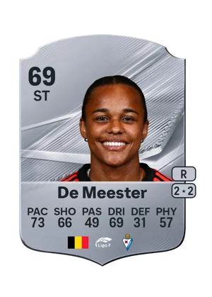 De Meester 69 ST