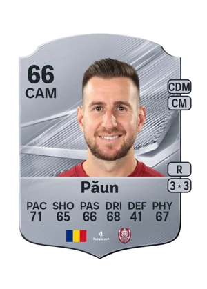 Păun 66 CAM