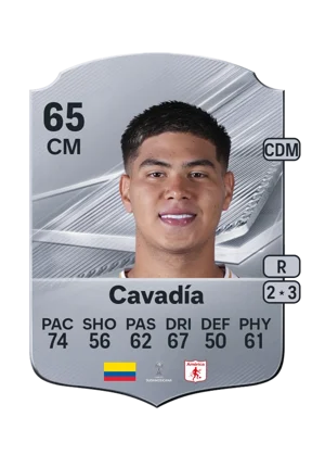 Cavadía 65 CM