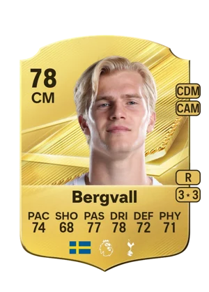Bergvall 78 CM