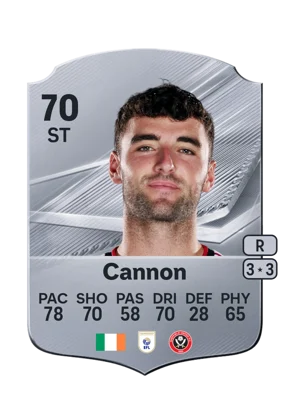 Cannon 70 ST