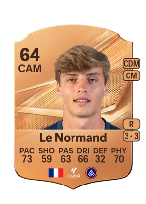 Le Normand 64 CAM