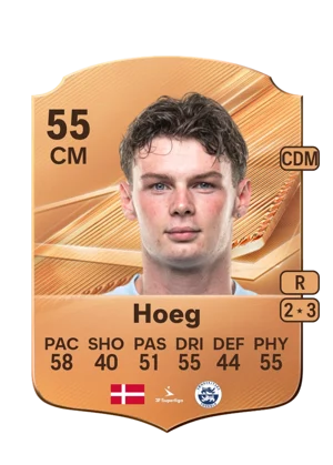Hoeg 55 CM