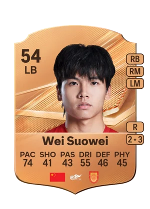 Wei Suowei 54 LB