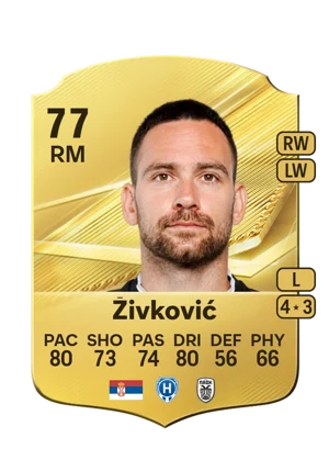 Živković 77 RM