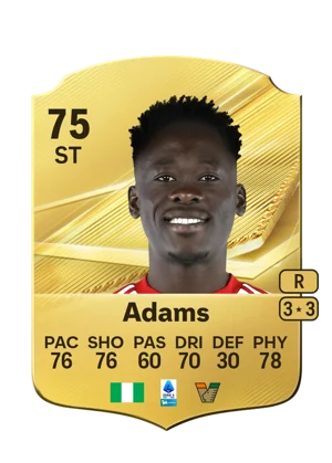 Adams 75 ST