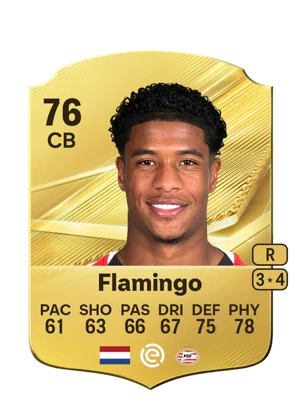 Flamingo 76 CB