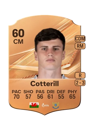 Cotterill 60 CM