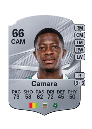 Camara 66 CAM