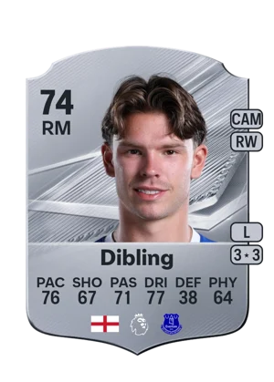 Dibling 74 RM