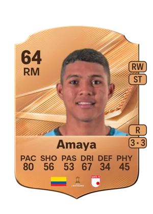 Amaya 64 RM