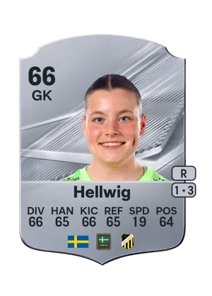 Hellwig 66 GK