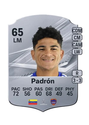 Padrón 65 LM