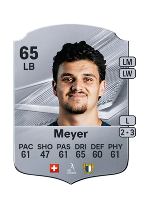 Meyer 65 LB