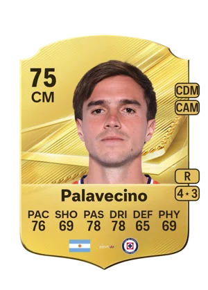 Palavecino 75 CM