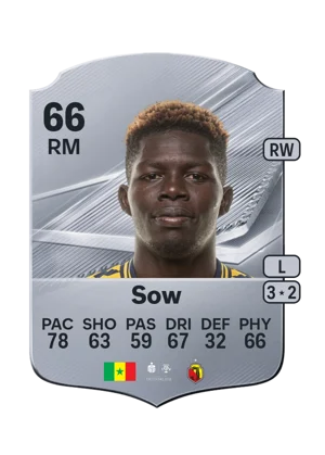 Sow 66 RM