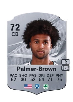 Palmer-Brown 72 CB
