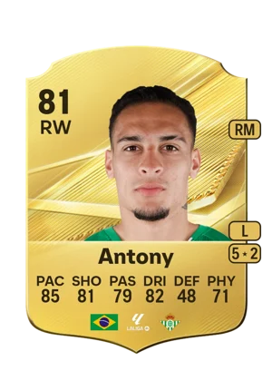 Antony 81 RW