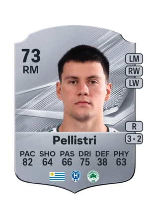Pellistri 73 RM