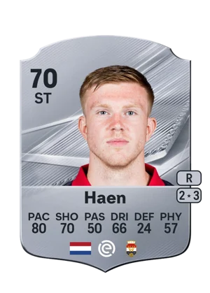 Haen 70 ST