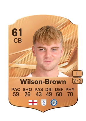 Wilson-Brown 61 CB