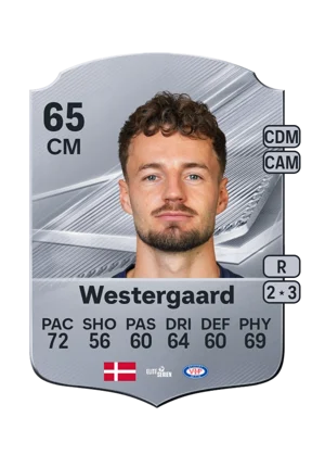 Westergaard 65 CM