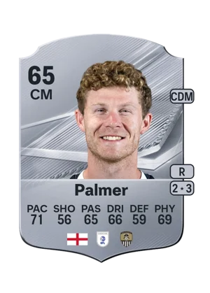Palmer 65 CM