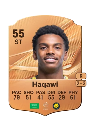 Haqawi 55 ST