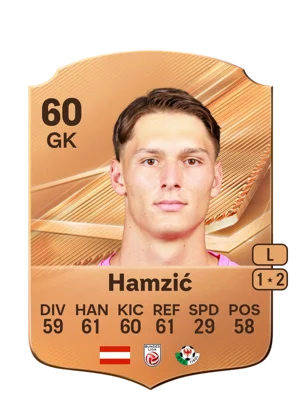 Hamzić 60 GK