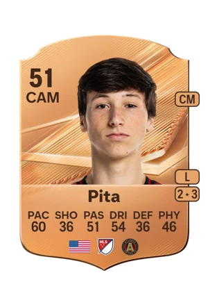 Pita 51 CAM