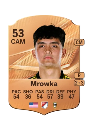 Mrowka 53 CAM