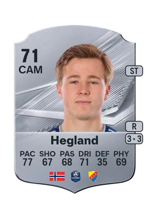 Hegland 71 CAM