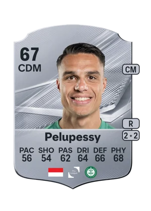 Pelupessy 67 CDM