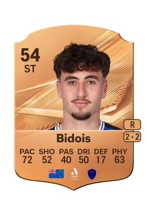 Bidois 54 ST