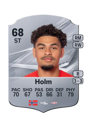 Holm 68 ST