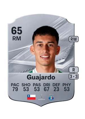 Guajardo 65 RM