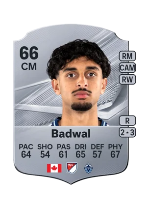 Badwal 66 CM