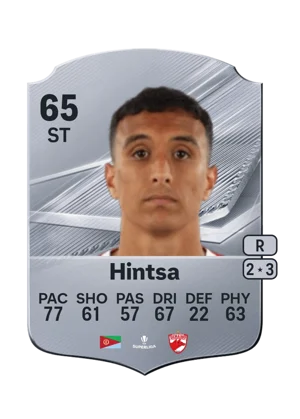 Hintsa 65 ST