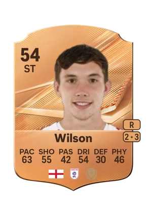 Wilson 54 ST