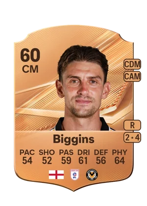 Biggins 60 CM