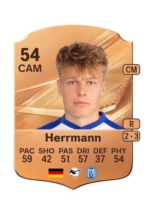 Herrmann 54 CAM