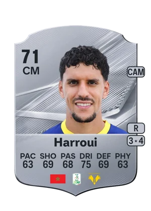 Harroui 71 CM