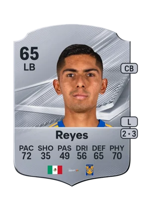 Reyes 65 LB