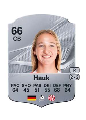 Hauk 66 CB