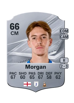 Morgan 66 CM