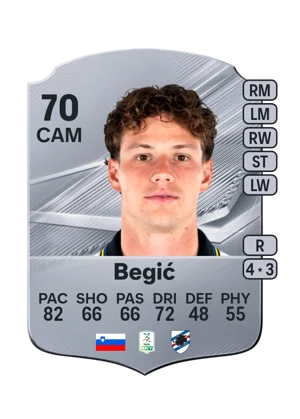 Begić 70 CAM